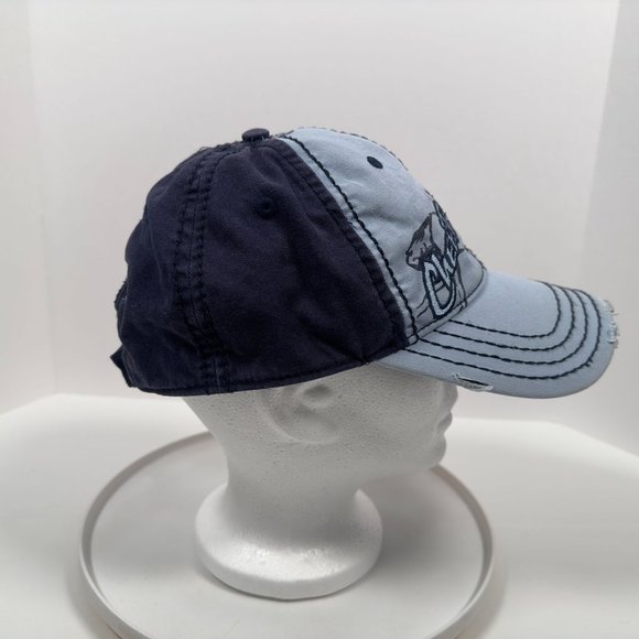 Busch Gardens Cheetah Hunt Blue Baseball Hat Adjustable Distressed - Picture 4 of 6